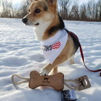 TALL TAILS NATURAL NATURAL LEATHER & WOOL BONE TUG DOG TOY, SMALL