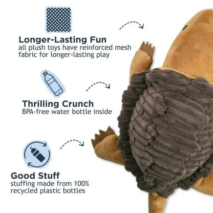 TALL TAILS SNAPPER TURTLE