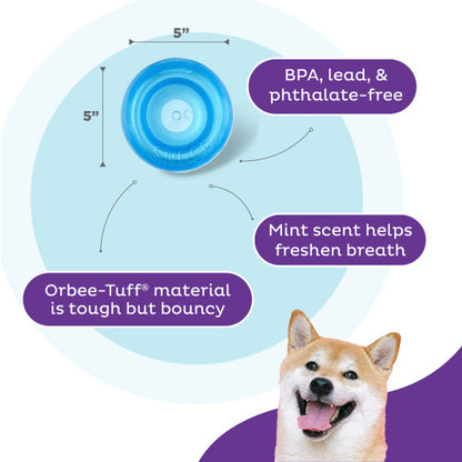 OUTWARD HOUND ORBEE-TUFF SNOOP INTERACTIVE TREAT BALL - LARGE