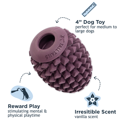 TALL TAILS NATURAL RUBBER PINECONE REWARD DOG TOY