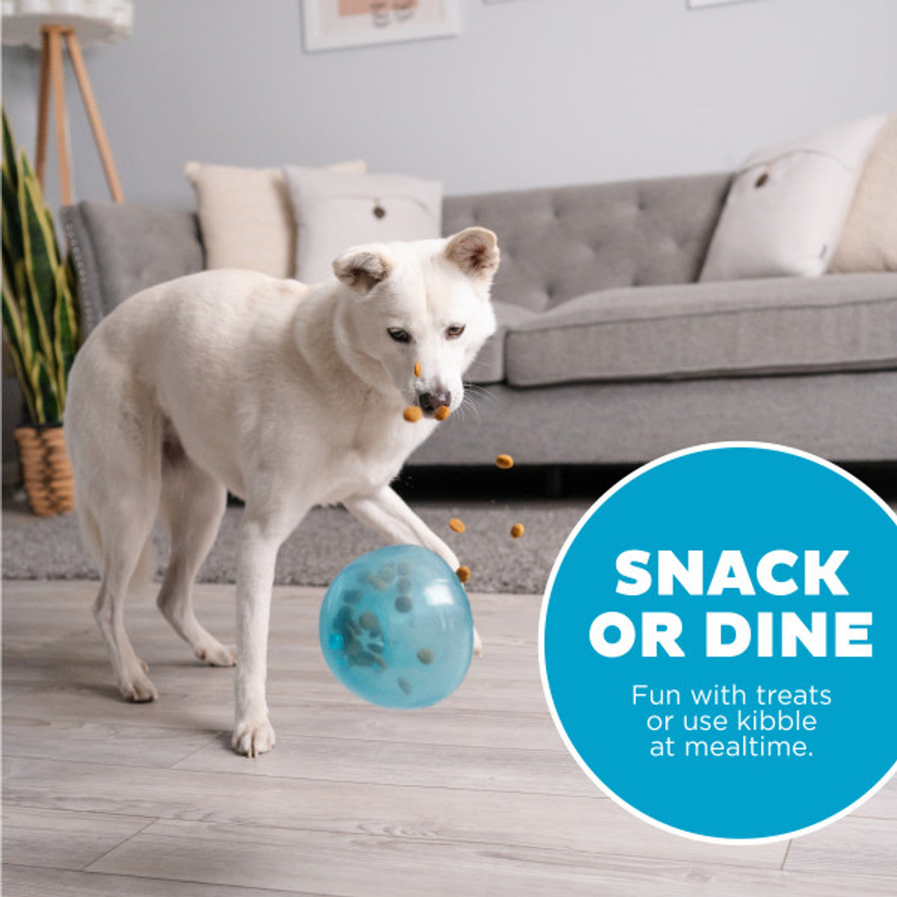 OUTWARD HOUND ORBEE-TUFF SNOOP INTERACTIVE TREAT BALL - LARGE