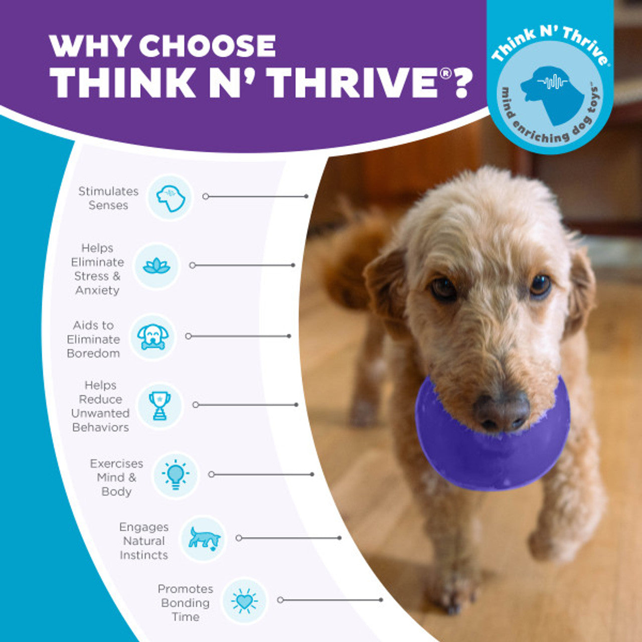 OUTWARD HOUND ORBEE-TUFF SNOOP INTERACTIVE TREAT BALL - SMALL